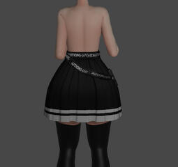 skirt back skirt back
